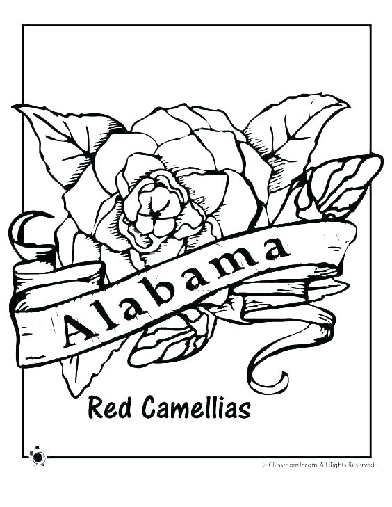 564x729 Ohio State Buckeyes Coloring Pages State Buckeyes Coloring Pages