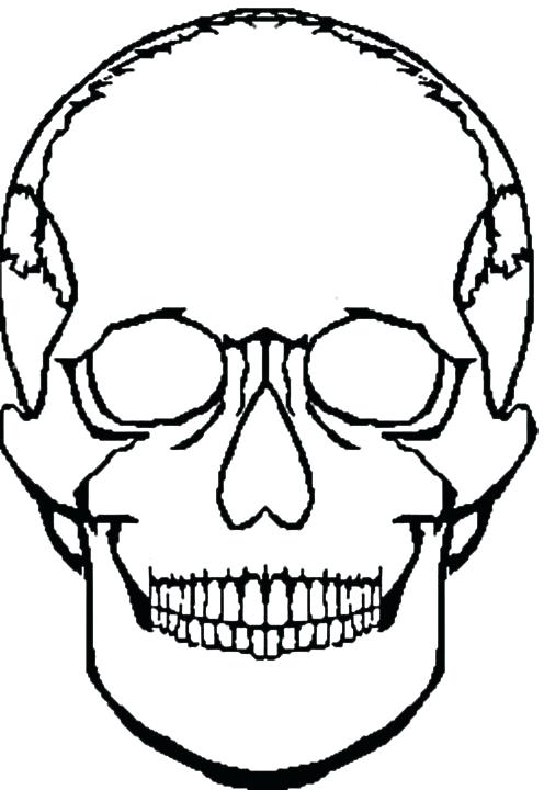 Okc Coloring Pages Phoenix Suns Logo Coloring Page Okc Thunder 496x720 Okc Coloring Pages Phoenix Suns Logo Coloring Page Okc Thunder