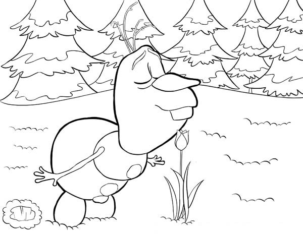 Olaf Smelling The Flower Coloring Page 600x464 Olaf Smelling The Flower Coloring Page