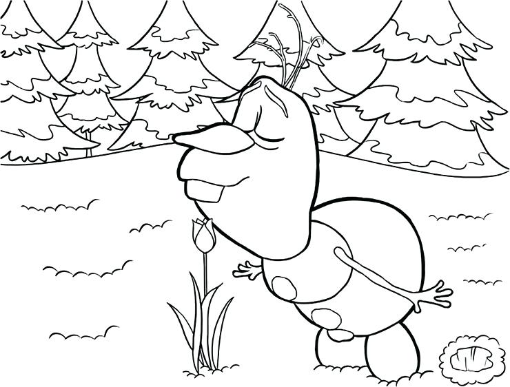 740x562 Frozen Olaf Coloring Pages Free Printable Olaf Coloring Pages