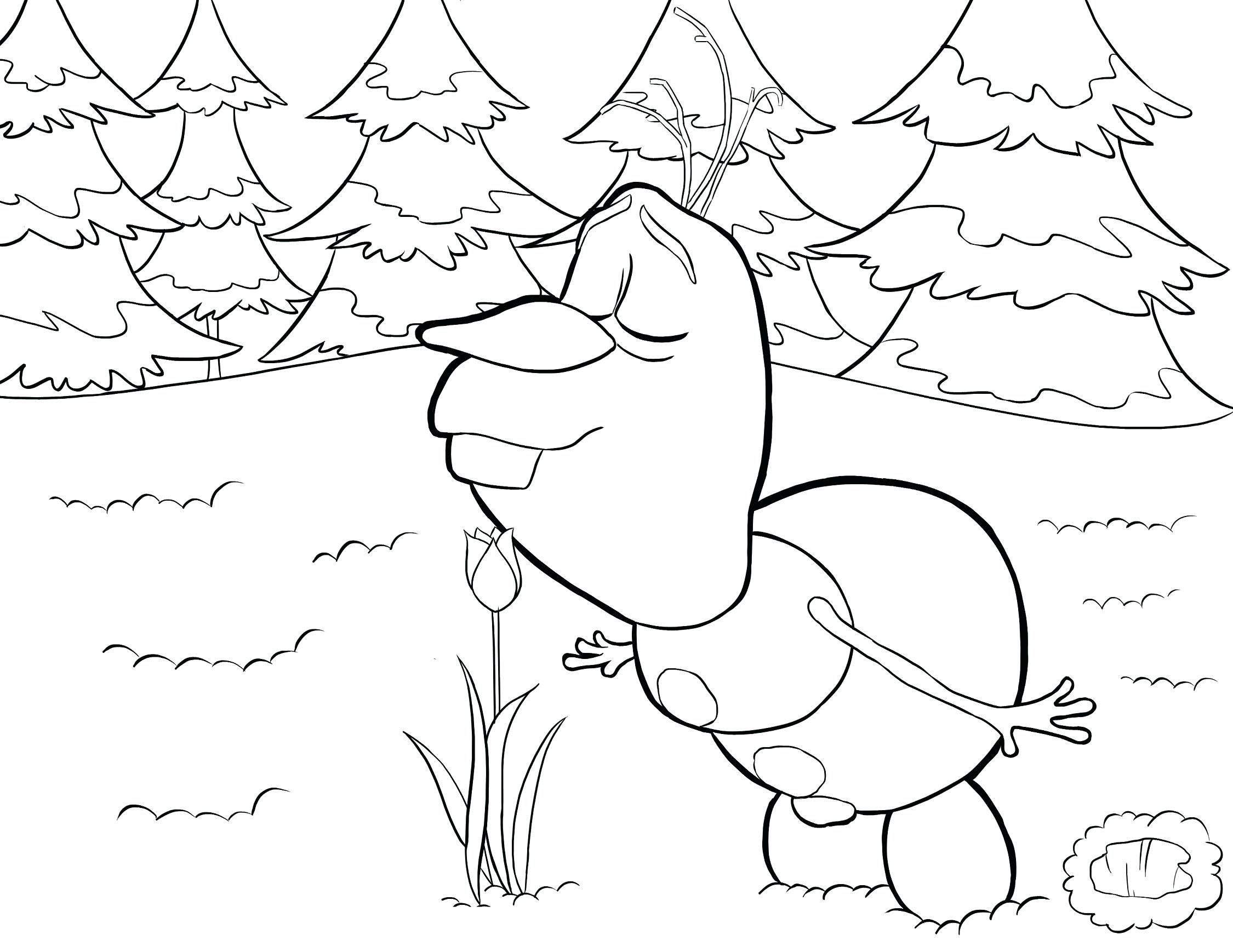 2250x1738 Cute Olaf Coloring Pages Frozen For Free Printable In Summer Boy