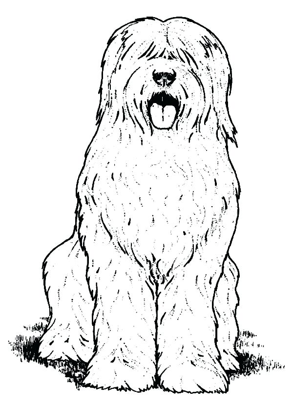 Dog Coloring Page Dog Coloring Page Color Dogs Color Pages Free 600x831 Dog Coloring Page Dog Coloring Page Color Dogs Color Pages Free