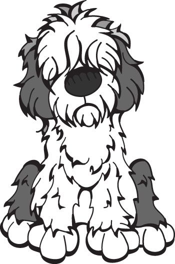 Old English Sheepdog Herding Group English 350x528 Old English Sheepdog Herding Group English