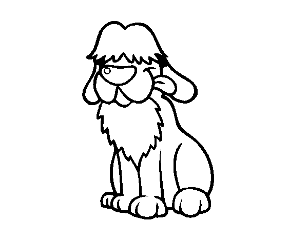 Old English Sheepdog Coloring Page 600x470 Old English Sheepdog Coloring Page