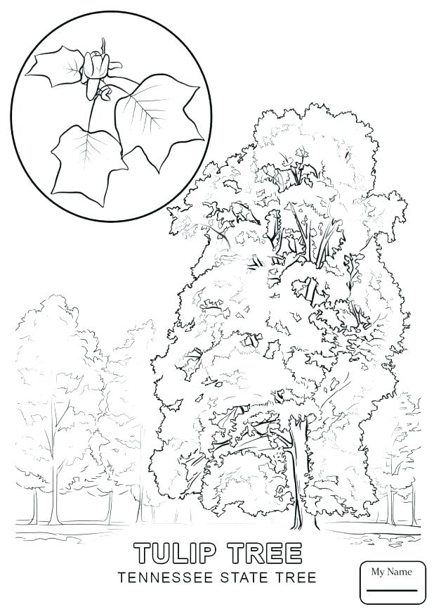 Old Fashioned Christmas Colouring Pages 618x873 Old Fashioned Christmas Colouring Pages