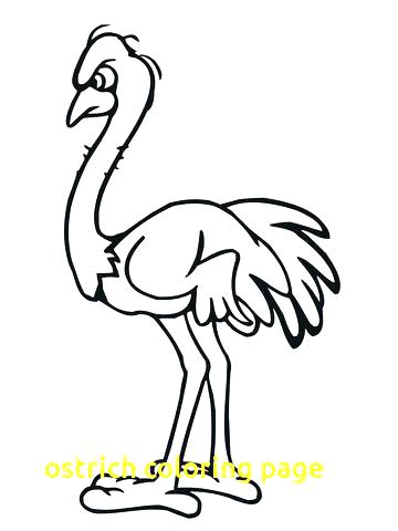 Ostrich Coloring Page Ostrich Coloring Page Olive The Ostrich 360x480 Ostrich Coloring Page Ostrich Coloring Page Olive The Ostrich