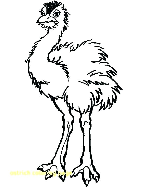 Ostrich Coloring Page Ostrich Coloring Page Ostrich Coloring Page 600x756 Ostrich Coloring Page Ostrich Coloring Page Ostrich Coloring Page