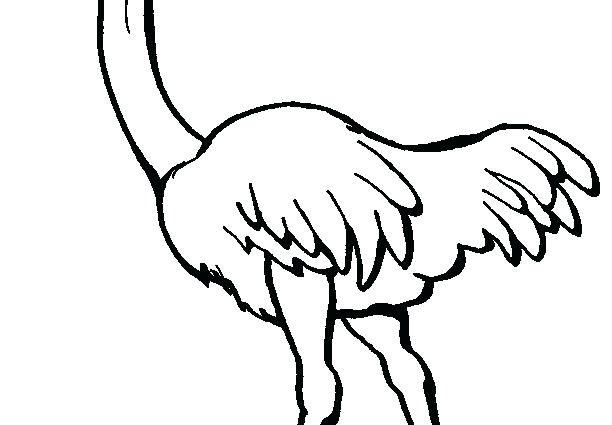 Ostrich Coloring Page Ostrich Coloring Pages Olive The Ostrich 612x425 Ostrich Coloring Page Ostrich Coloring Pages Olive The Ostrich