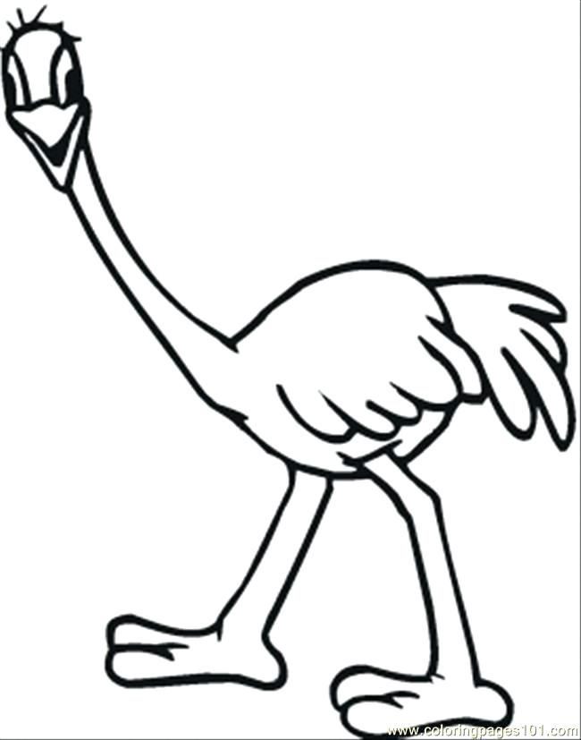 Ostrich Coloring Page Ostrich Emu Coloring Page Olive The Ostrich 650x827 Ostrich Coloring Page Ostrich Emu Coloring Page Olive The Ostrich