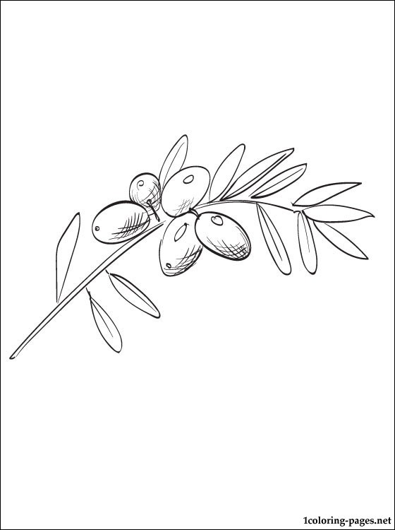 Olive Tree Coloring Page at GetColorings.com | Free printable colorings ...