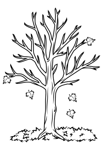 Coloring Pages For Fall Trees 339x480 Coloring Pages For Fall Trees