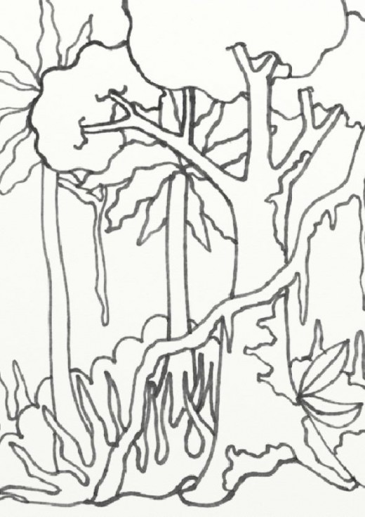 Wild Treasures Amazon Coloring Pages 520x735 Wild Treasures Amazon Coloring Pages