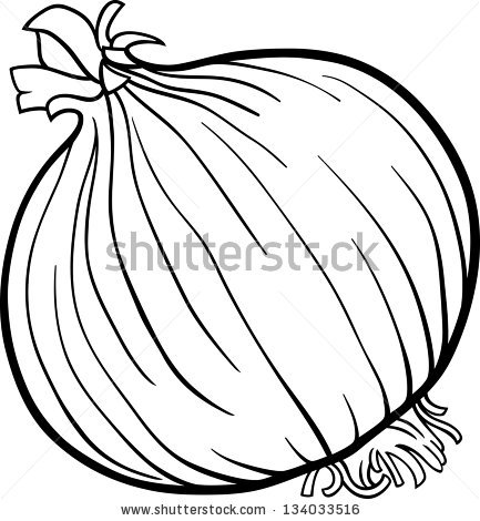 Onion Clipart Drawn 3752472 433x470 Onion Clipart Drawn 3752472