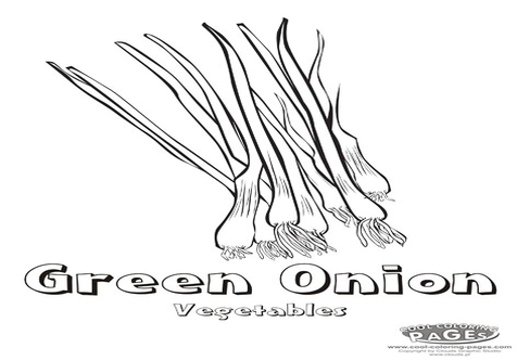 Onion Coloring Page Image Clipart Images 476x333 Onion Coloring Page Image Clipart Images