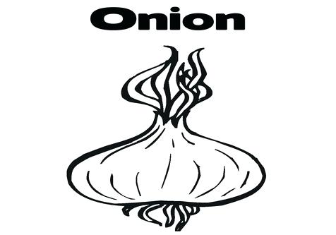 Onion Coloring Page Image Images Coloring Trend Medium Size 476x333 Onion Coloring Page Image Images Coloring Trend Medium Size