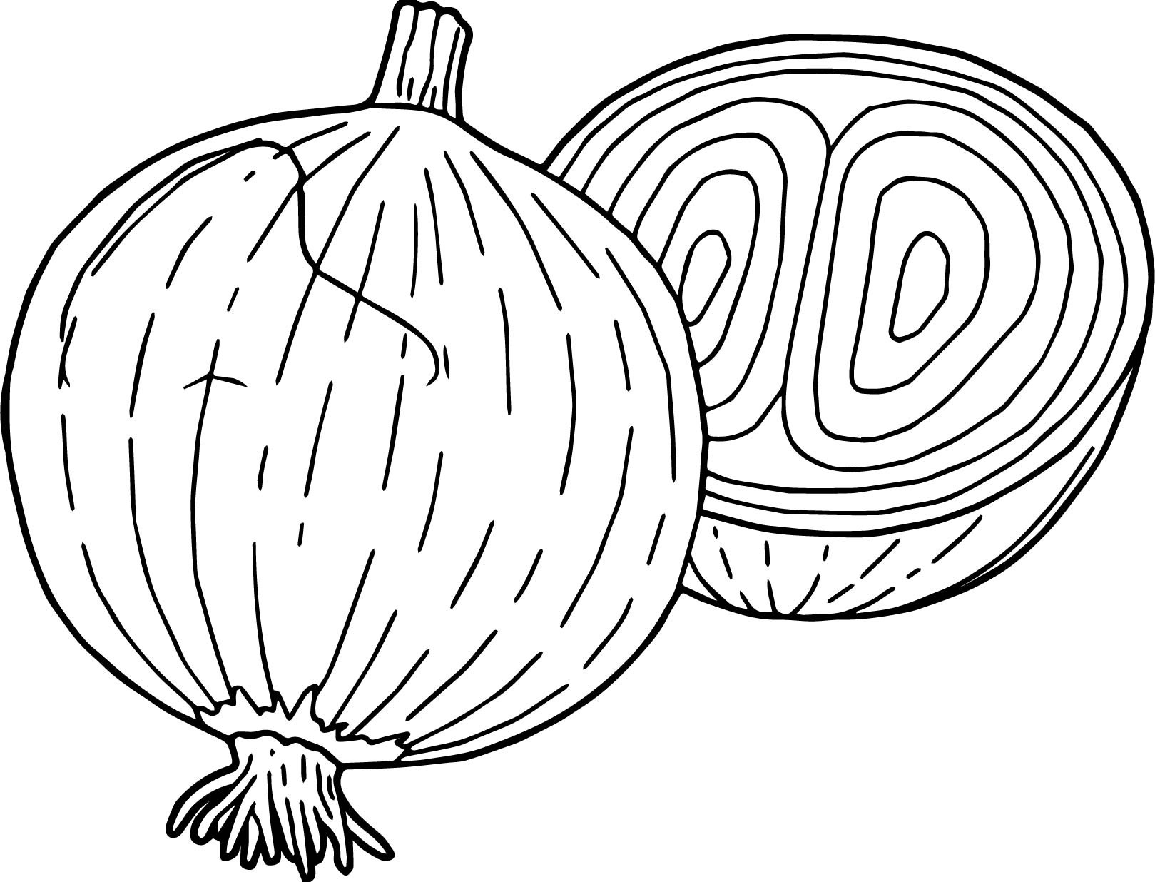 Onion Vegetable Coloring Page For Kids Elegant Ve Ables Ion 1619x1236 Onion Vegetable Coloring Page For Kids Elegant Ve Ables Ion