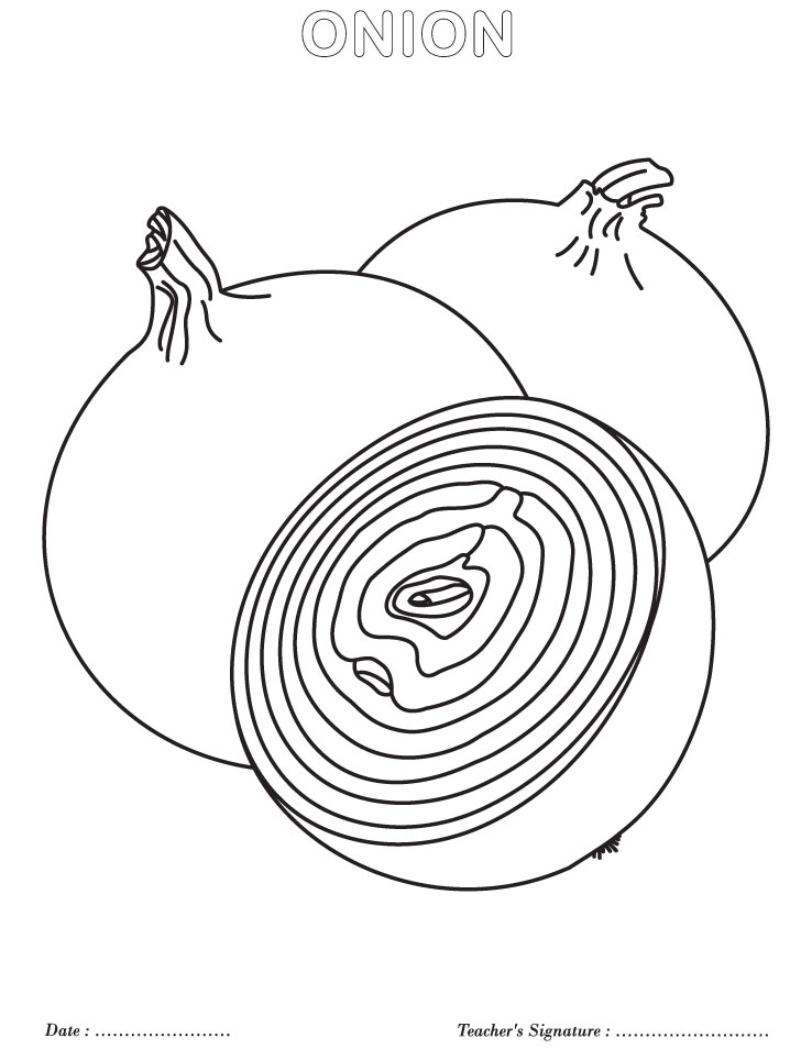 Onion Coloring Pages 738x954 Onion Coloring Pages