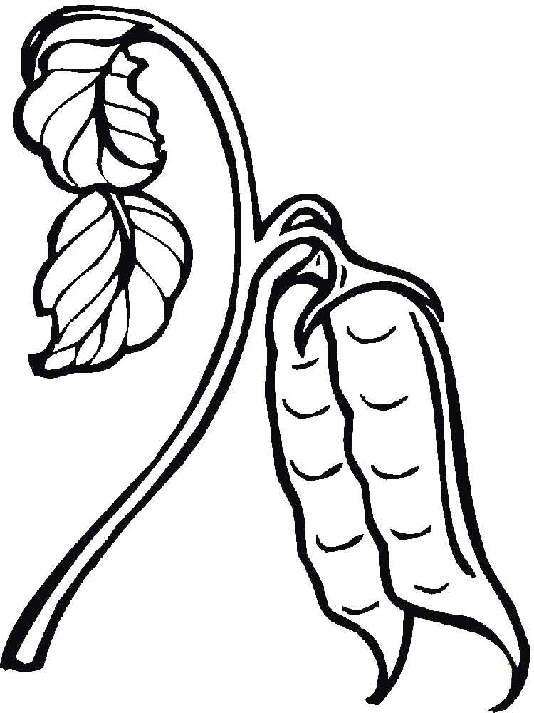 Peas In A Pod Coloring Pages And Print 750x1000 Peas In A Pod Coloring Pages And Print