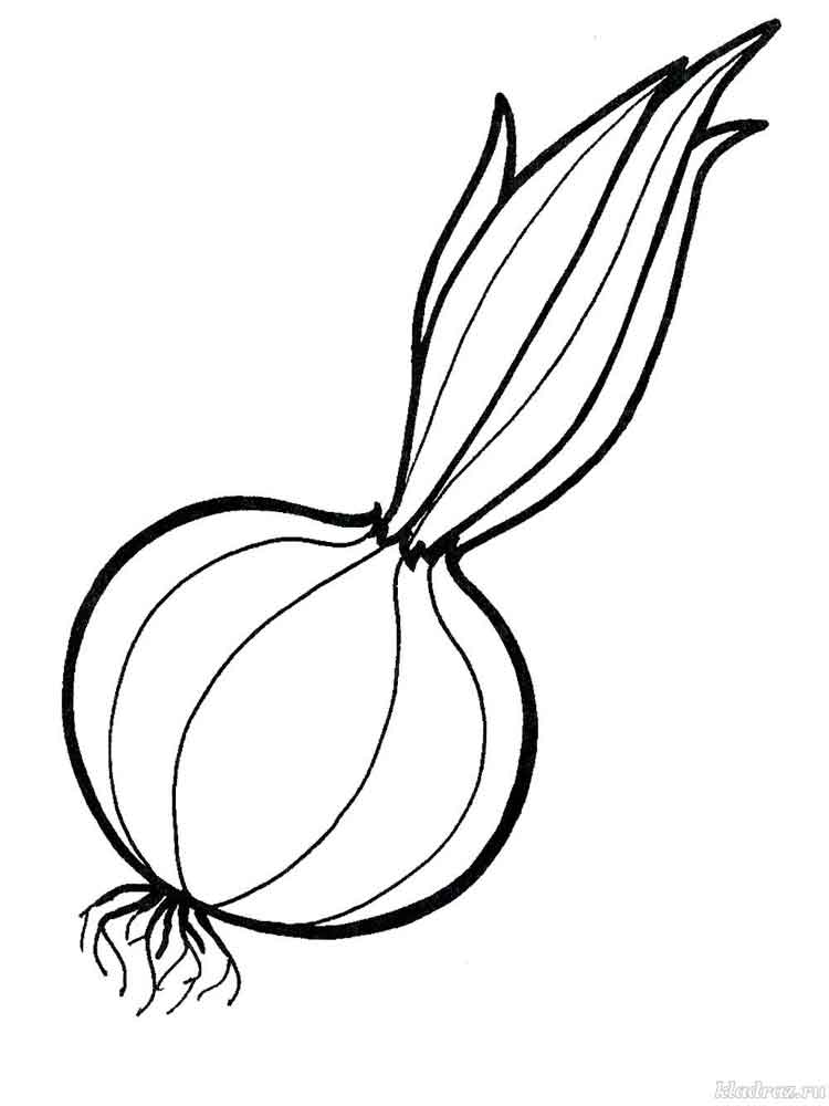 Vegetables Onion Coloring Page 8 750x1000 Vegetables Onion Coloring Page 8