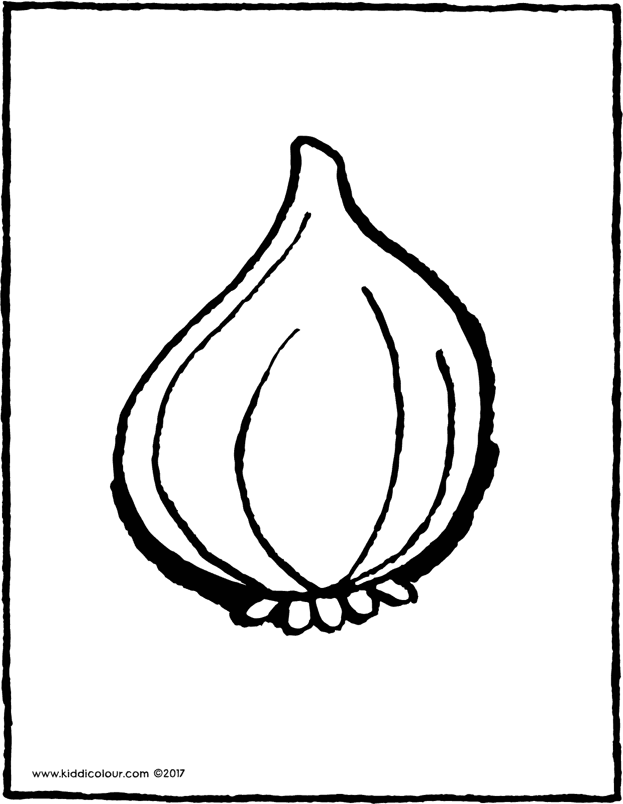 Onion 1240x1600 Onion