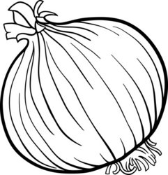 Onion Vegetable Cartoon For Coloring Book Stock Vector 241x250 Onion Vegetable Cartoon For Coloring Book Stock Vector