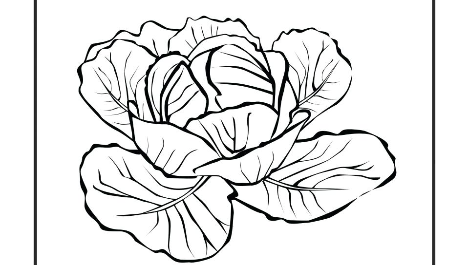 Fruits And Vegetables Coloring Pages Crafts And Worksheets 960x544 Fruits And Vegetables Coloring Pages Crafts And Worksheets