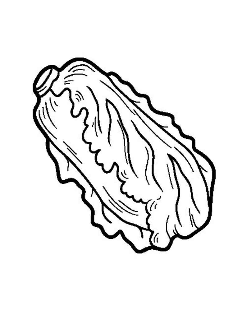 Lettuce Coloring Pages. Download And Print Lettuce Coloring Pages 750x1000 Lettuce Coloring Pages. Download And Print Lettuce Coloring Pages