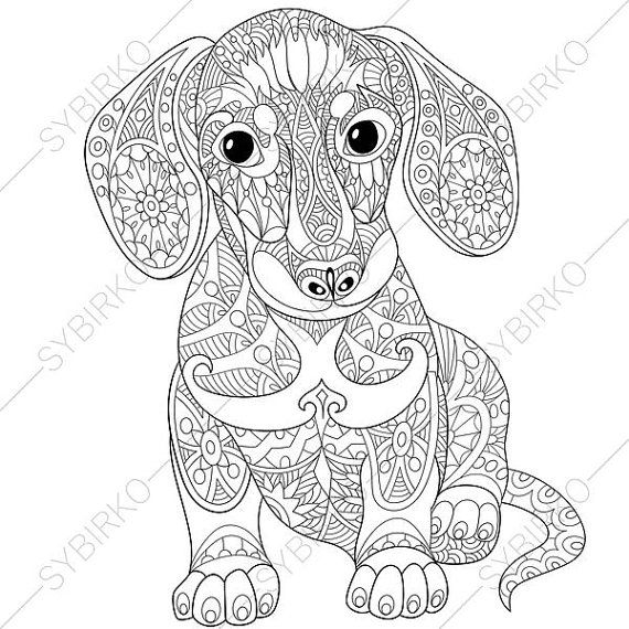 Online Coloring Pages For Adults Animals 570x570 Online Coloring Pages For Adults Animals