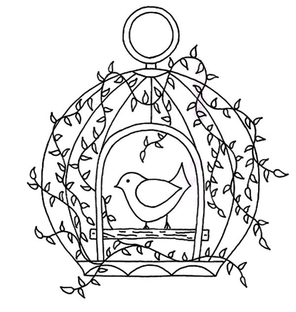 600x631 Bird Cage With Door Open Coloring Pages Best Place To Color