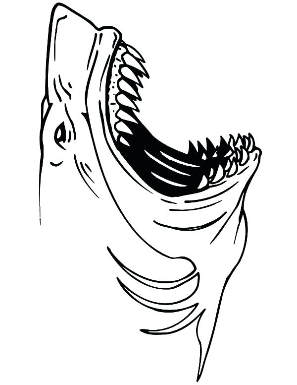 600x776 Sand Shark Pictures Color Open Mouth Coloring Pages Crocodile