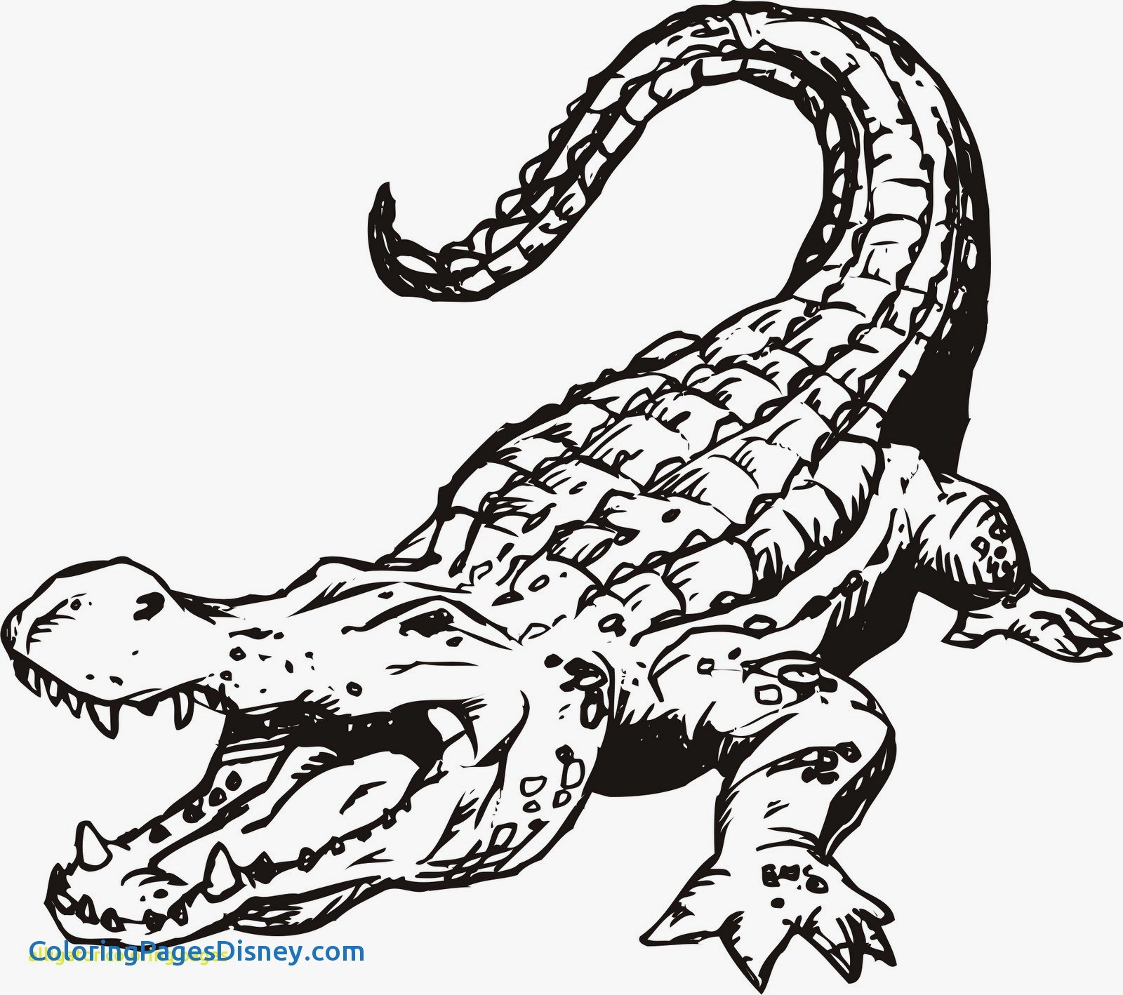 1600x1418 Alligators Coloring Pages Luxury 11 Of Human Mouth Open Coloring