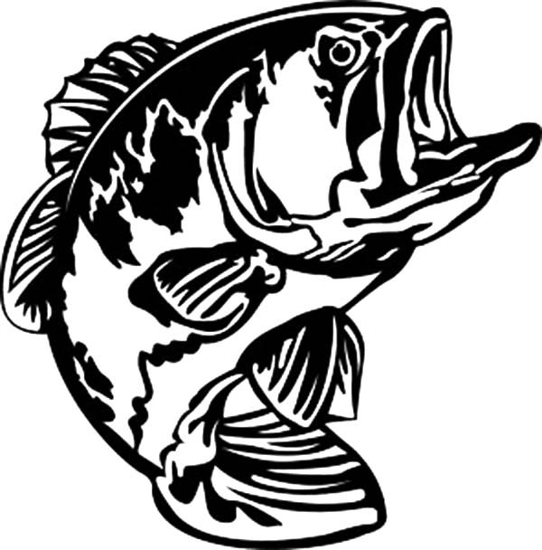 600x608 Bass Fish Open His Mouth Wide Coloring Pages Best Place To Color