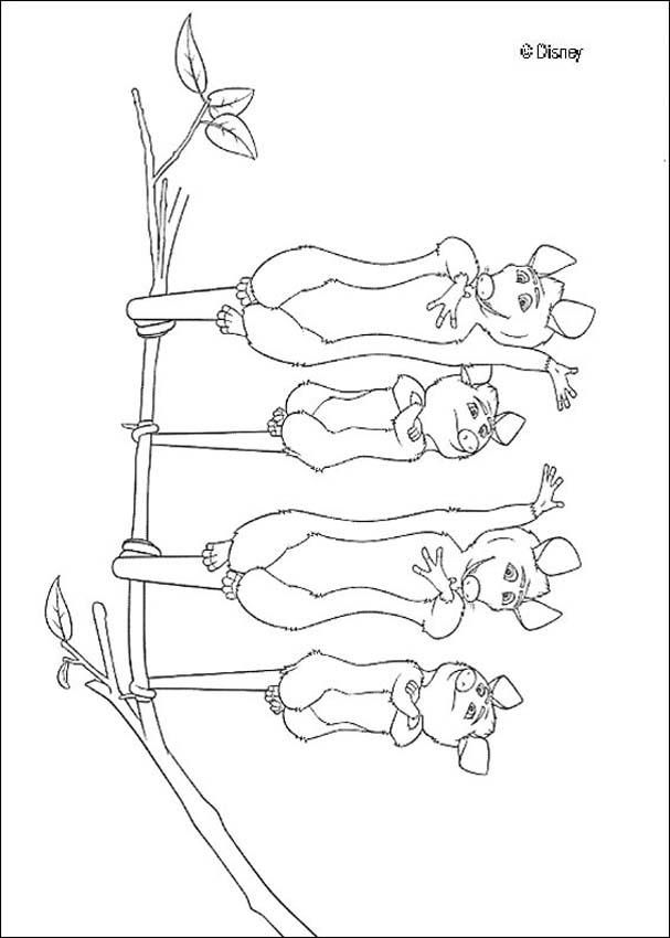 Opossum Family Coloring Pages 607x850 Opossum Family Coloring Pages