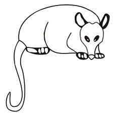 Opossum Crafts 230x230 Opossum Crafts