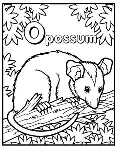 Opposum coloring page Opossum Coloring Page Vbs 236x297 Opposum coloring page Opossum Coloring Page Vbs
