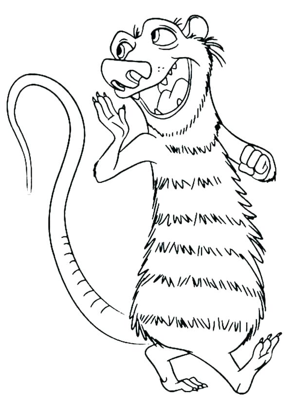 Crash Bandicoot Coloring Pages Opossum Coloring Pages Possum 600x841 Crash Bandicoot Coloring Pages Opossum Coloring Pages Possum