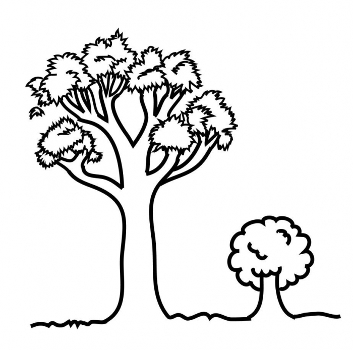 Big And Small Coloring Pages Coloring Page 700x694 Big And Small Coloring Pages Coloring Page