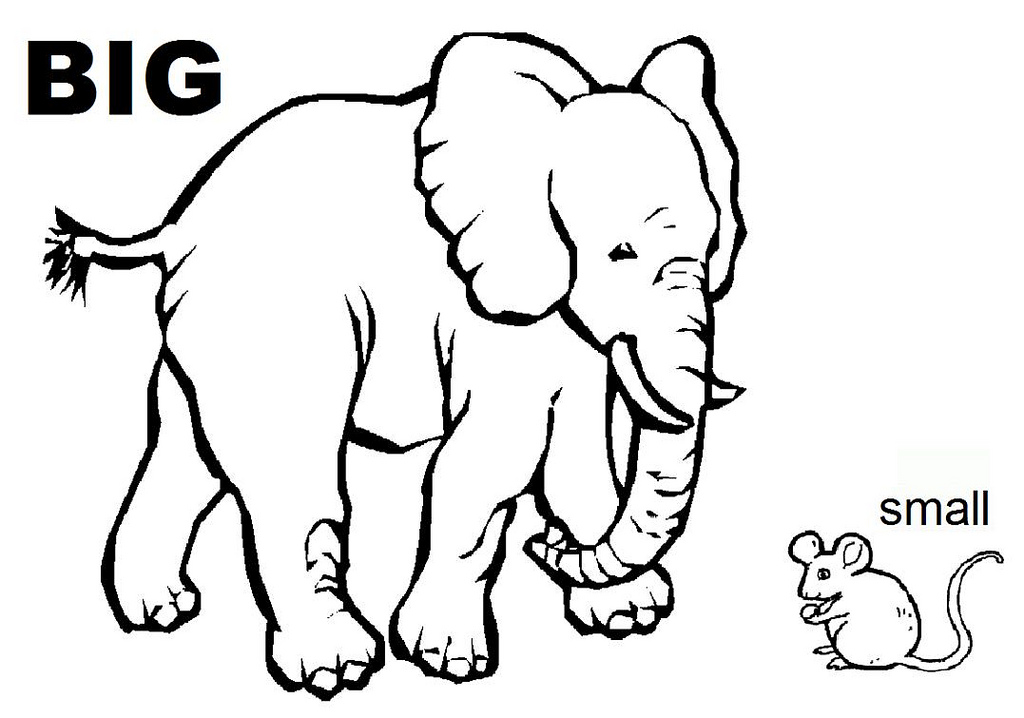 Big And Small Coloring Pages Opposites Coloring Sheet We Handed 1024x718 Big And Small Coloring Pages Opposites Coloring Sheet We Handed