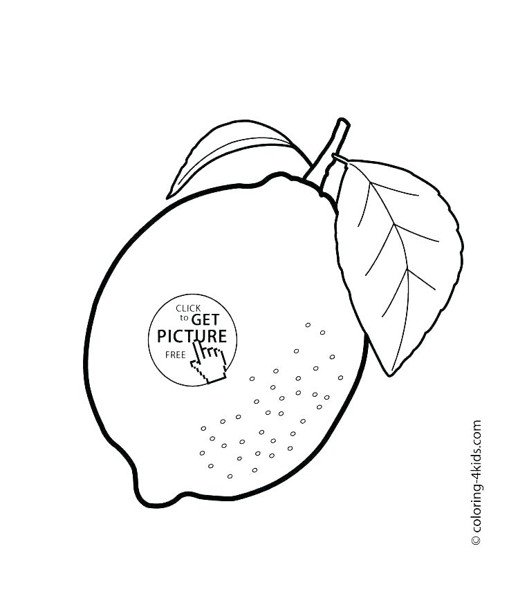 736x865 Coloring Pages Fruits Mango Coloring Pages Fruit Basket Coloring