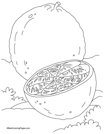420x542 Mejores 7 De Orange Coloring Pages En