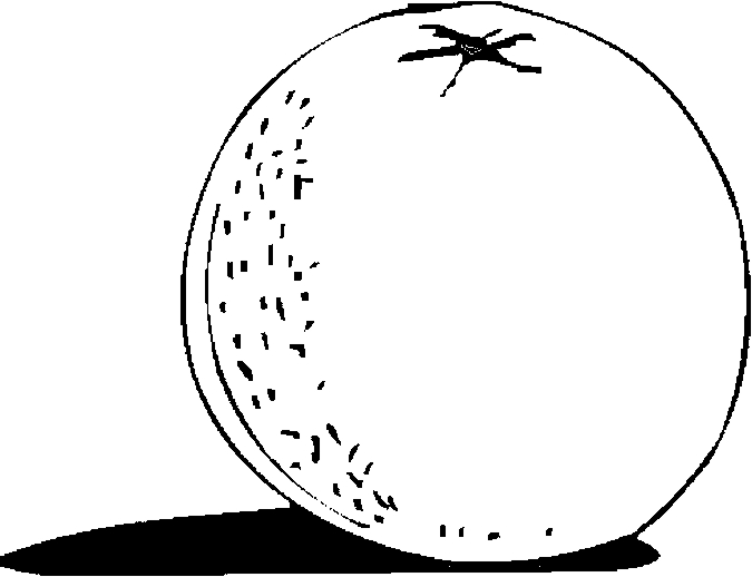 675x518 Orange Coloring Pages Color Orange Coloring Pages Coloring Pages