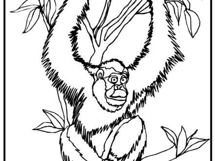 440x330 Orangutans Coloring Pages Ideas, Orangutan Coloring Pages