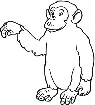 325x360 Orangutans Coloring Pages Ideas