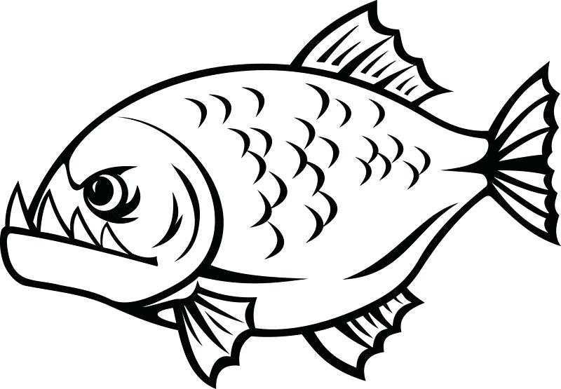800x555 Piranha Coloring Pages