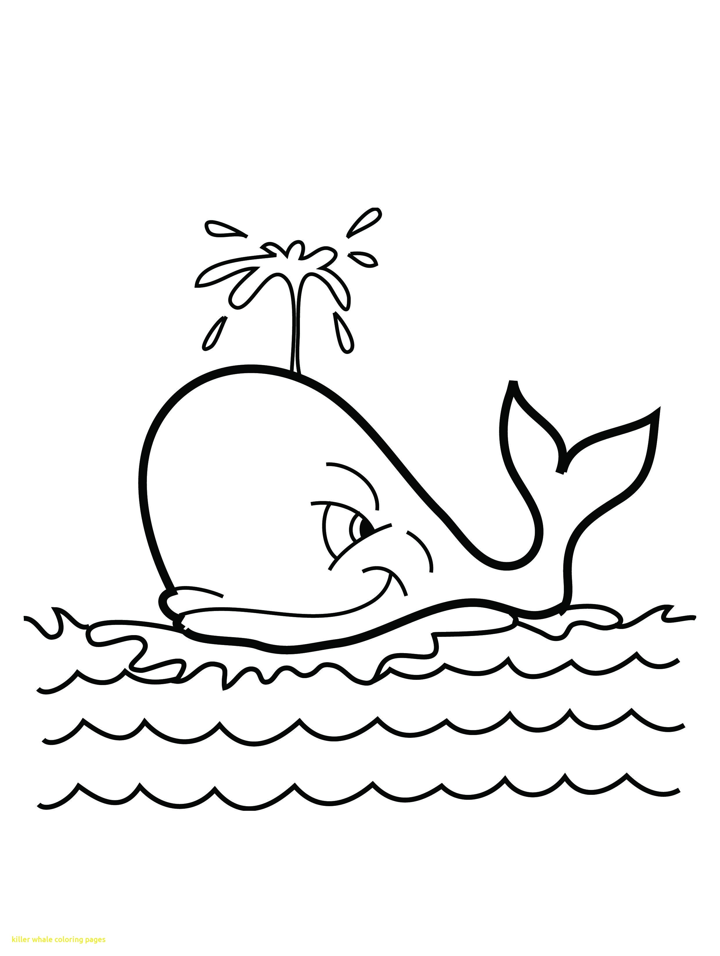 2480x3292 New Charming Killer Whale Coloring Page Gallery Wordpress Themes