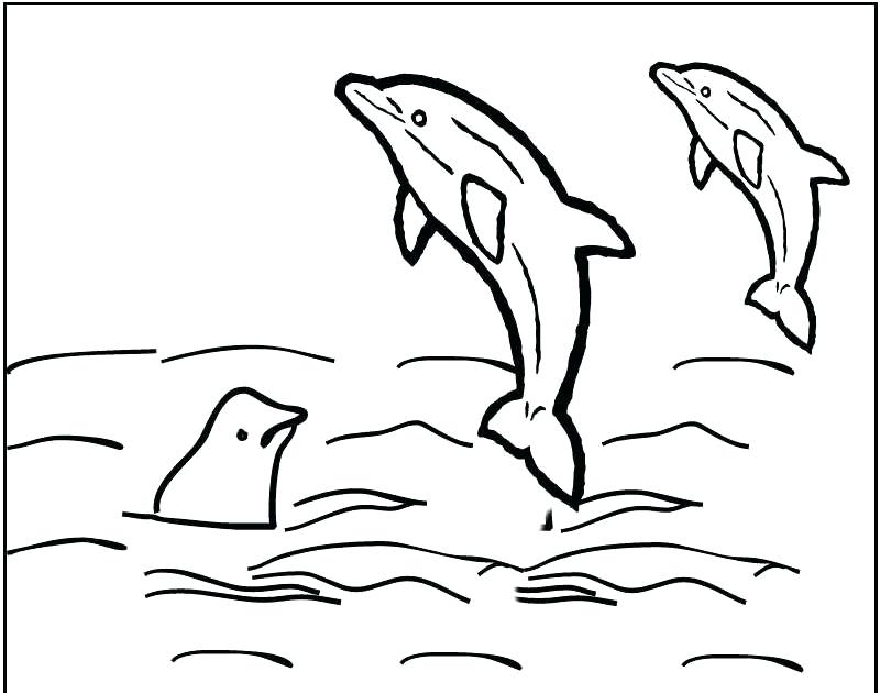800x630 Coloring Page Orca Whale Coloring Pages Orca Coloring Pages