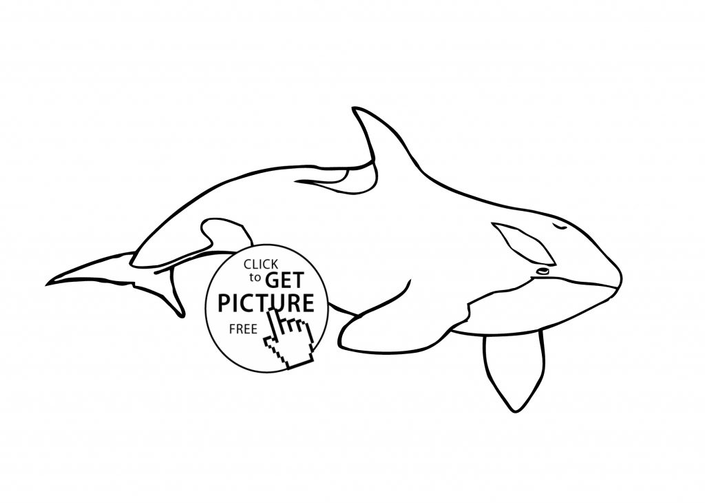 Orca Whale Coloring Page at GetColorings.com | Free printable colorings ...