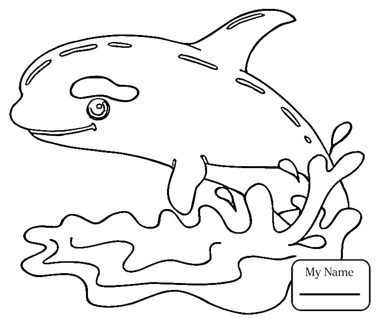 765x645 Orca Whale Coloring Pages Coloring Pages Of Whales Coloring Page