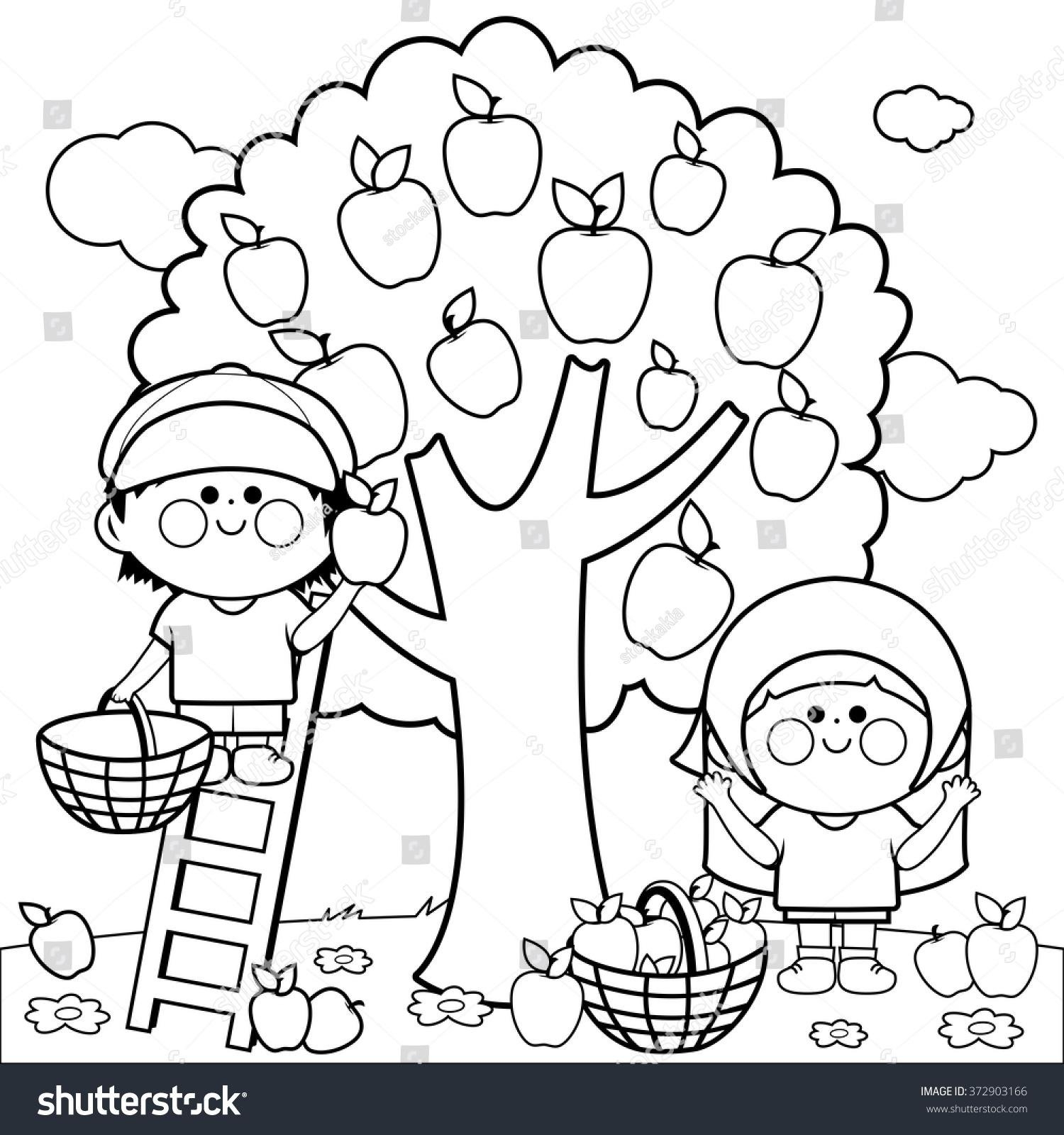 Apple Picking Coloring Pages Free Design Templates 1500x1600 Apple Picking Coloring Pages Free Design Templates