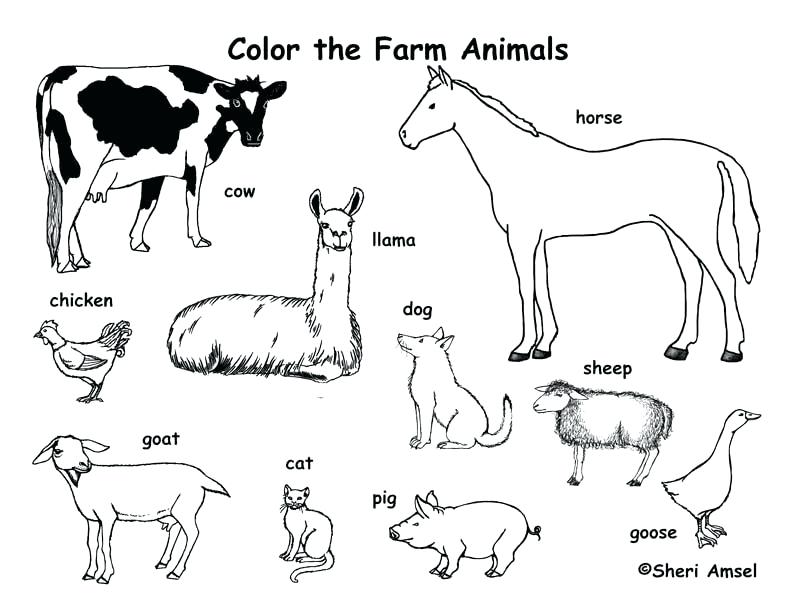 Barn Coloring Page Barn Coloring Page Coloring Page Barn Coloring 792x612 Barn Coloring Page Barn Coloring Page Coloring Page Barn Coloring